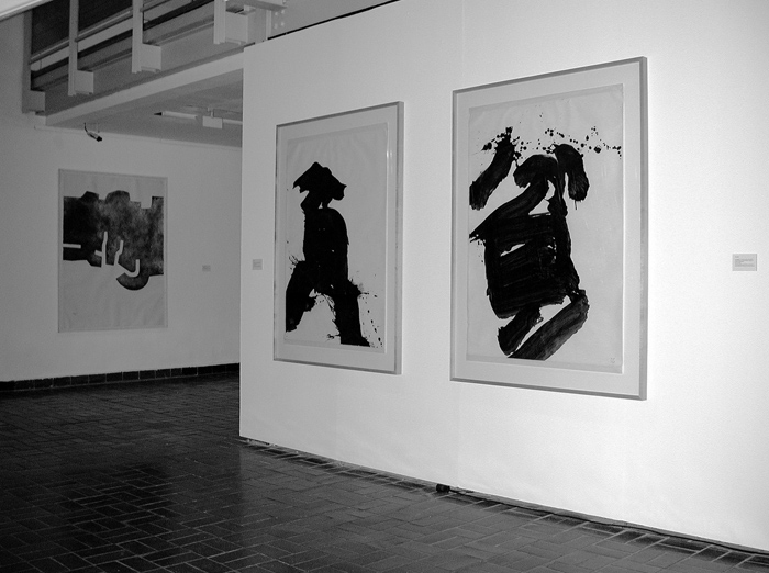 YU-ICH (Inoue Yûichi), Unaussprechlich Schön - Das mystische Paradoxon in der Kunst des 20. Jahrhunderts, Kunsthalle Erfurt, 2003